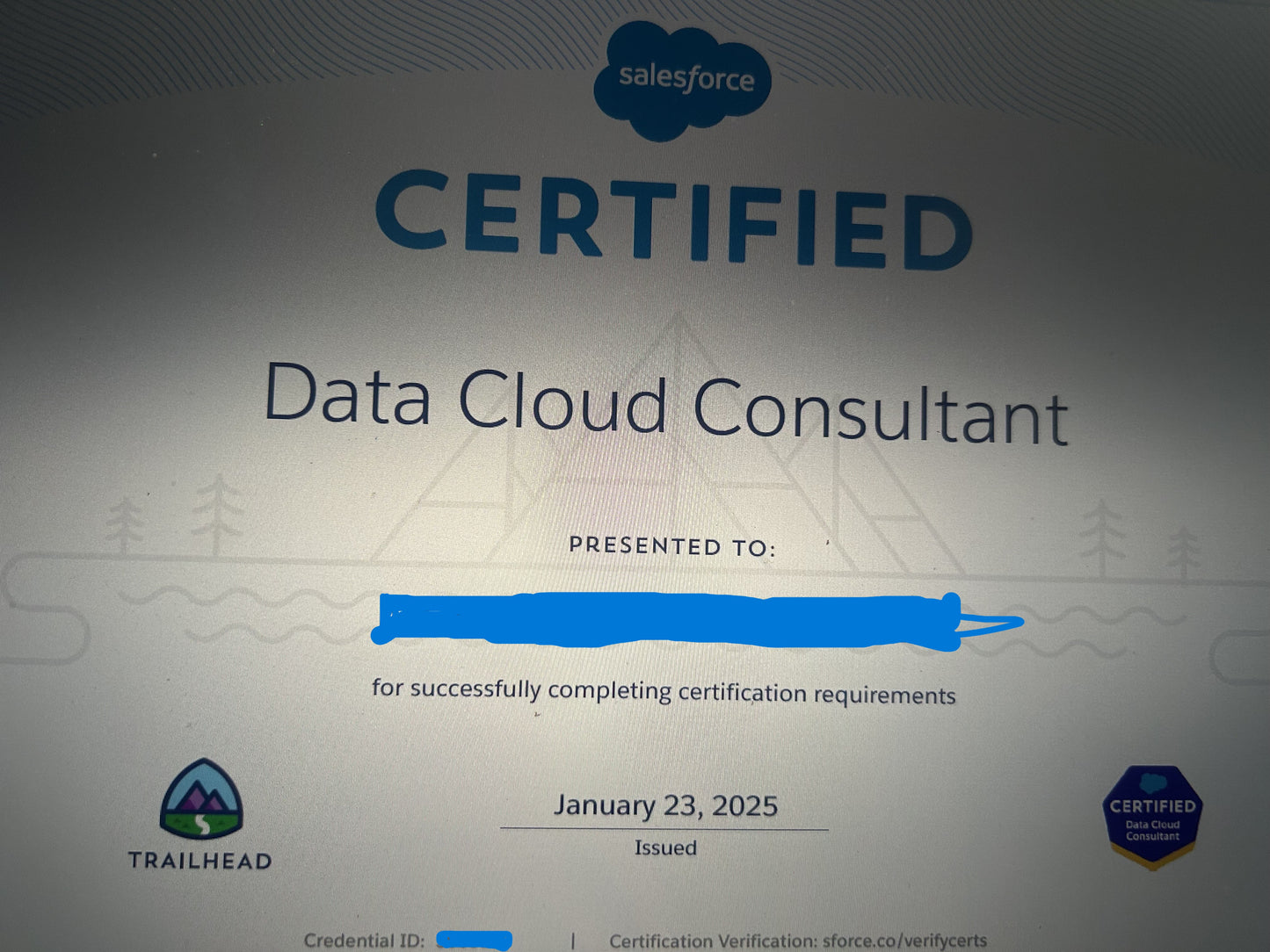 Salesforce Data Cloud Consultant Certification Dumps