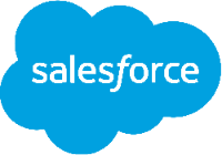 Salesforce Dumps House